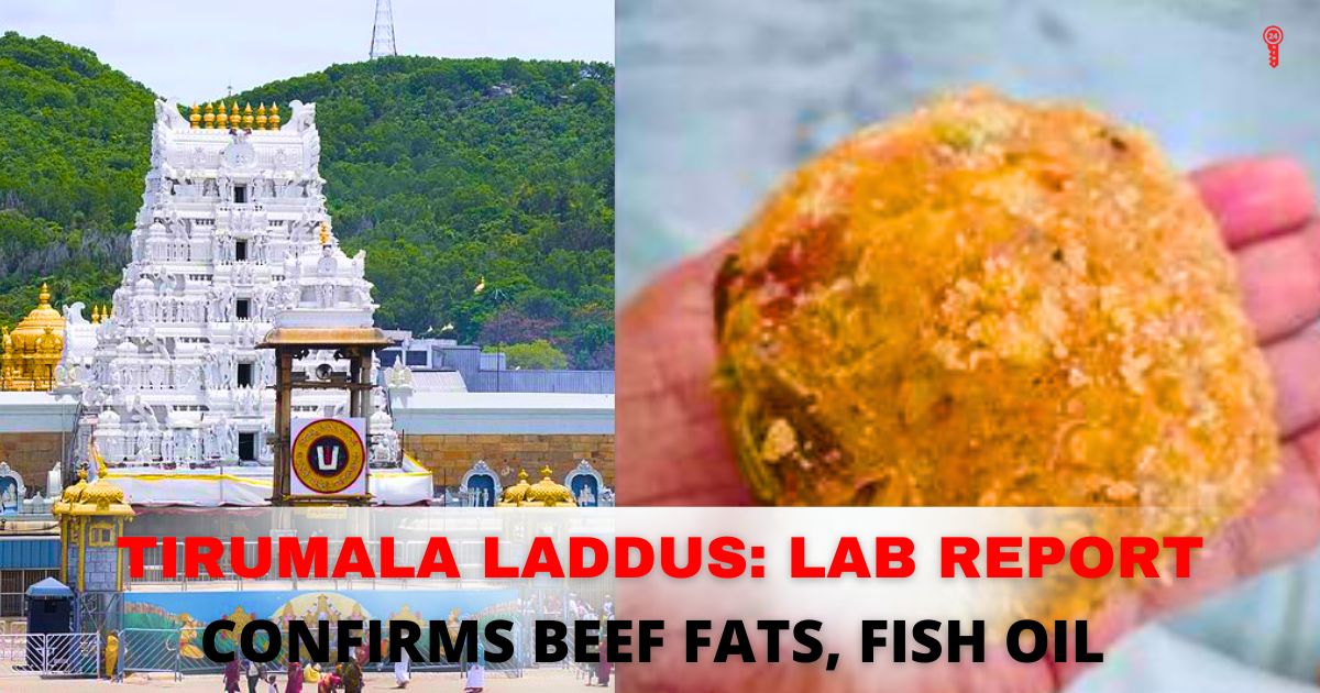 tirumala laddu