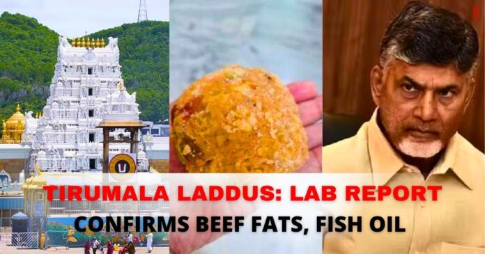 Tirumala laddu
