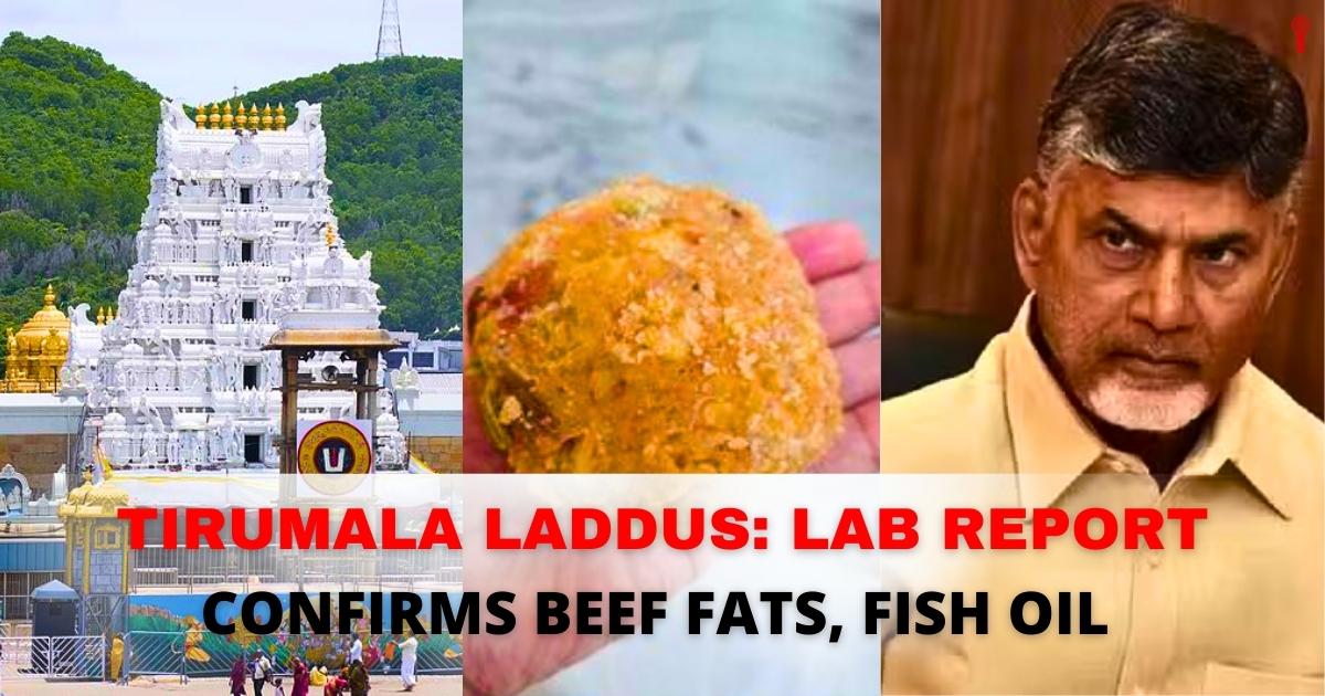 Tirumala laddu